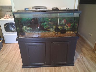 55 gallon aquarium with stand