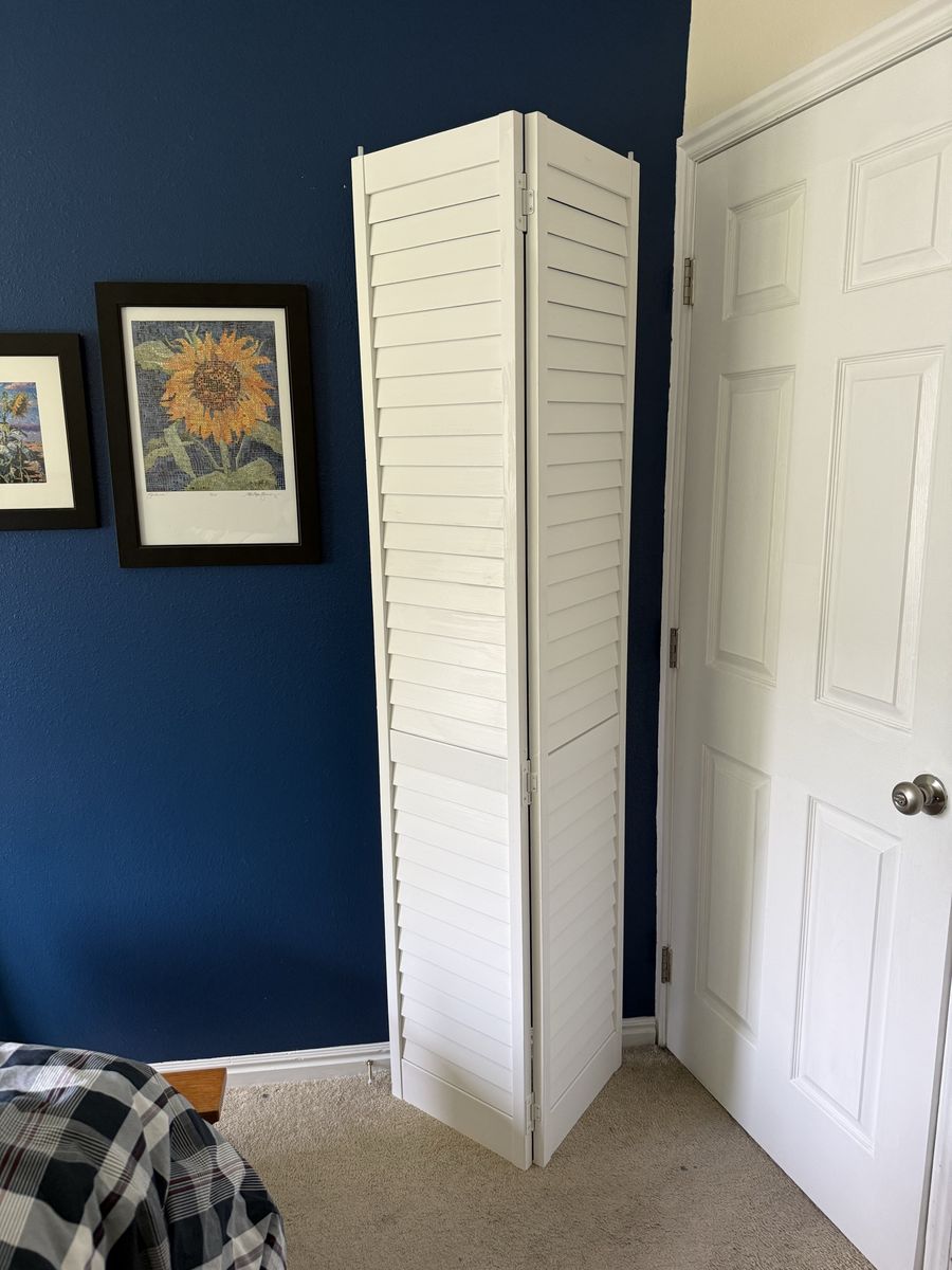 Bifold door, 30X80”