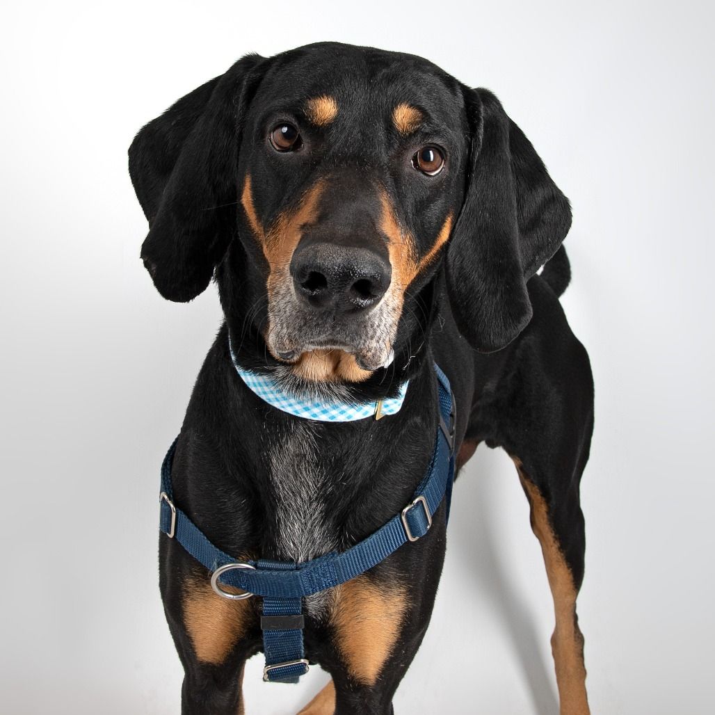 Hello my name is Jack