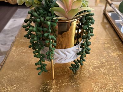 realistic plant