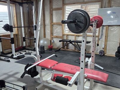 Weider Bench Press Gym + about 100lbs in weights - PRICE REDUCED was $299