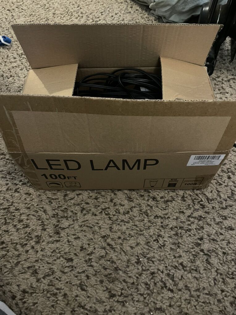 Lightdot 100ft Outdoor Lights