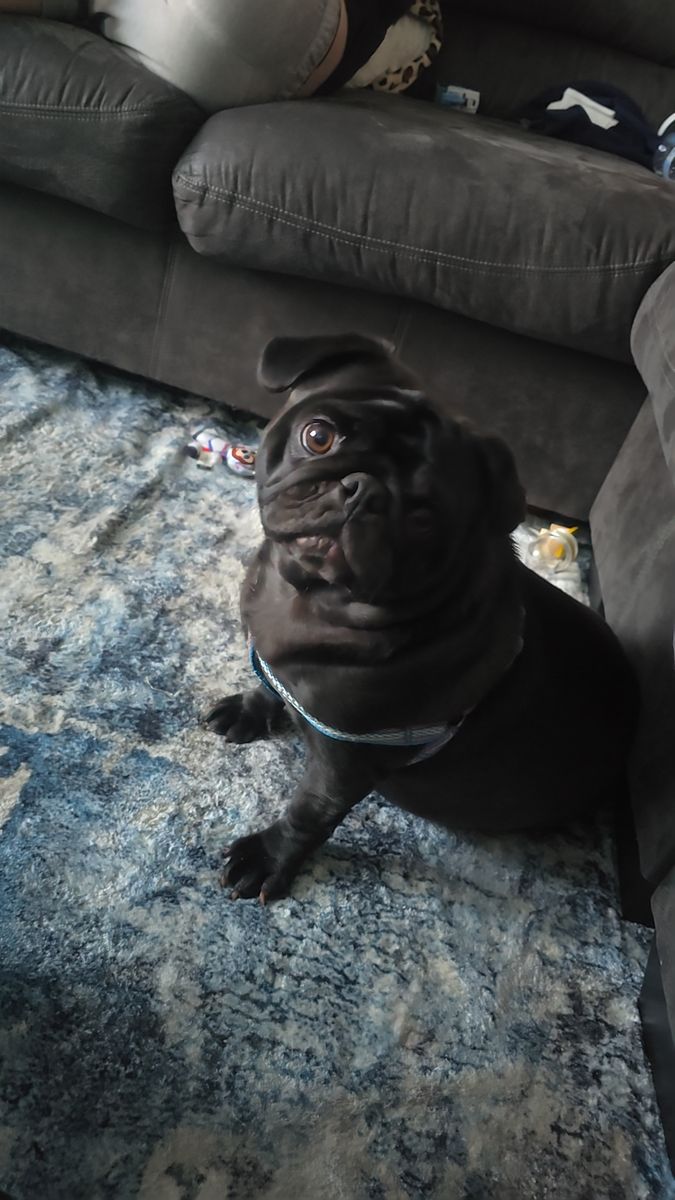 Dirty Gertie