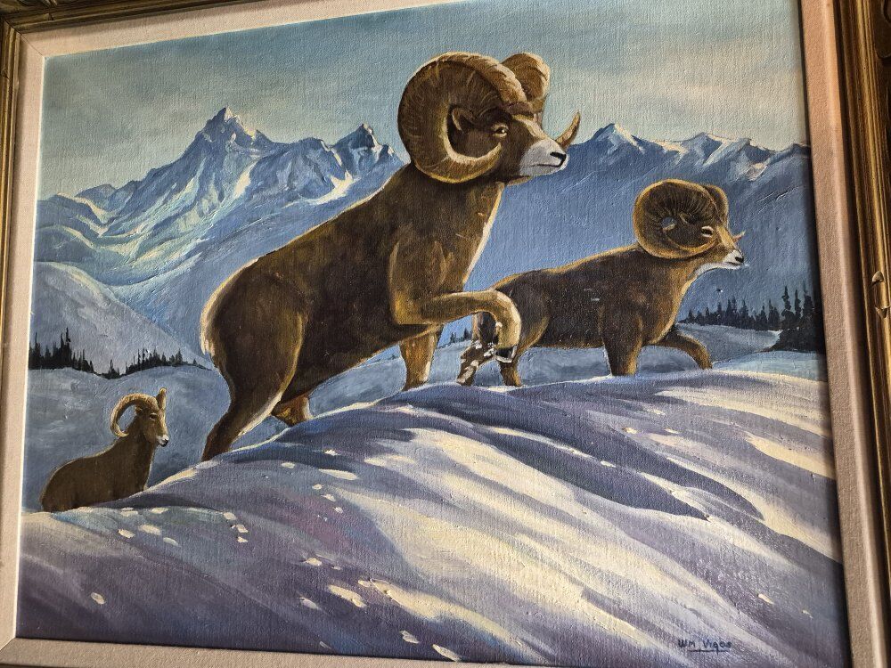 Original art big horn sheep painting