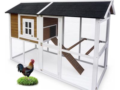 INCOMPLETE (((BOX 2 OF 2 ONLY))) Farmstead chicken coop