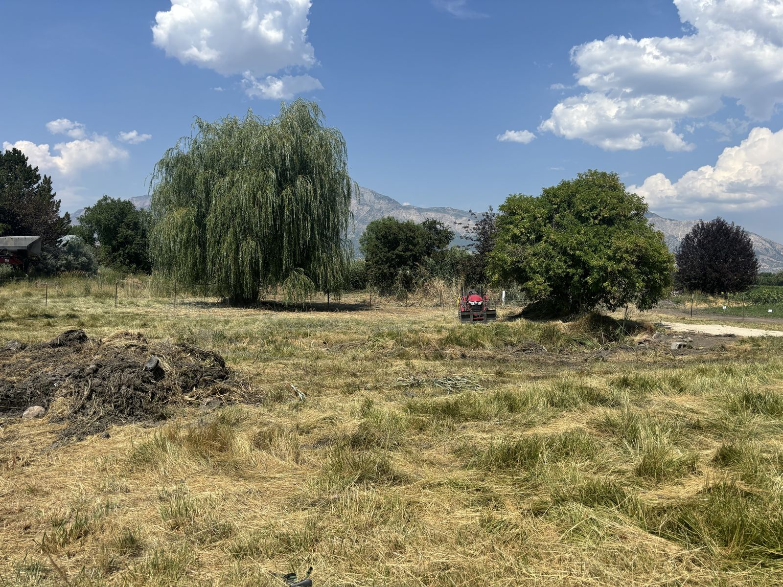 Pasture/Grazing Land for Lease