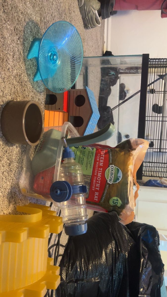 Tank and supplies for small rodent