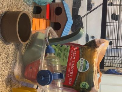 Tank and supplies for small rodent