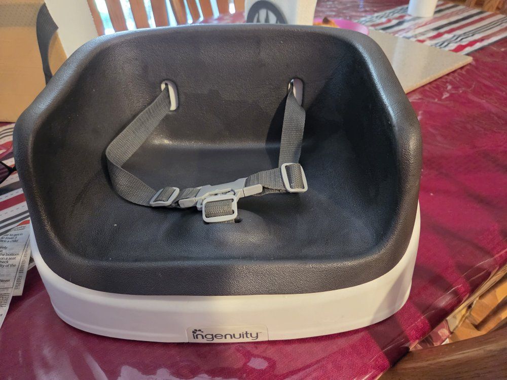 Ingenuity Baby Booster Chair