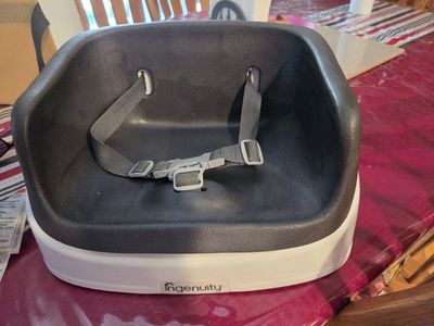 Ingenuity Baby Booster Chair
