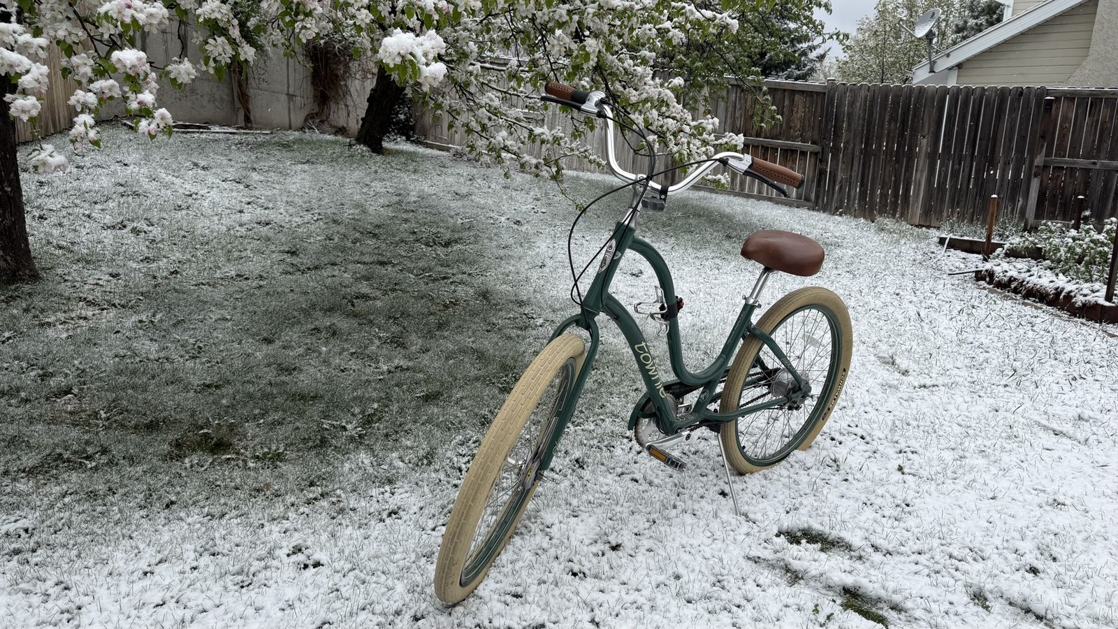 Electra Townie 7-Speed Bike