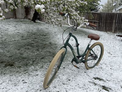 Electra Townie 7-Speed Bike