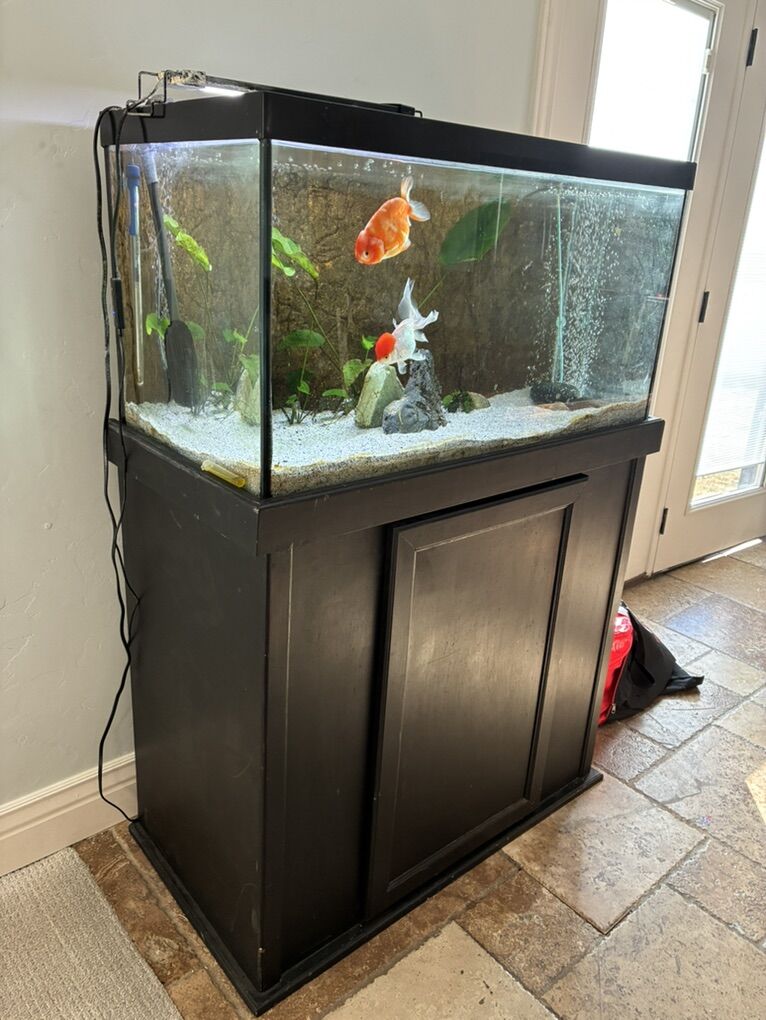 65 Gallon FIsh Tank