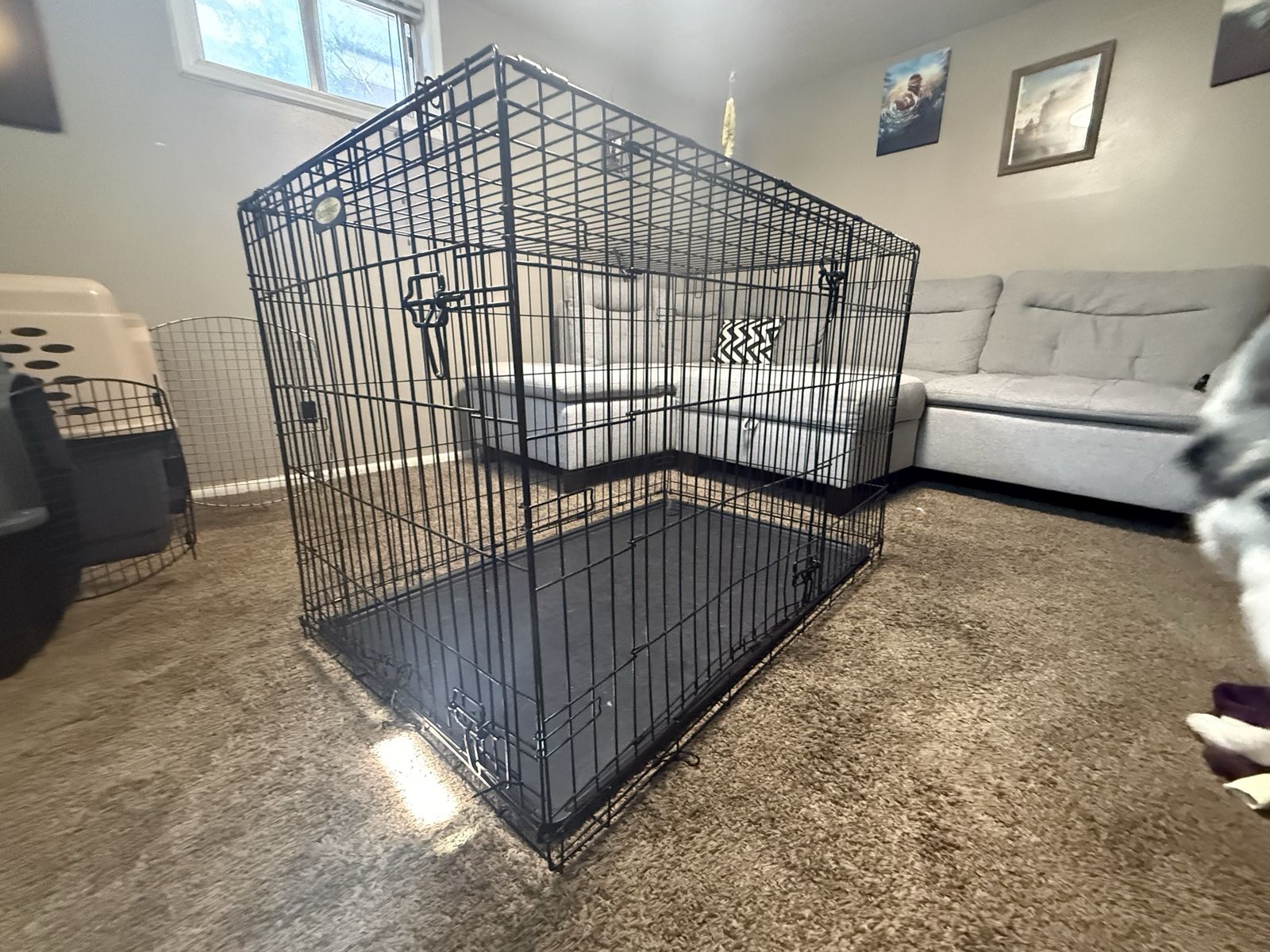 Dog Kennel