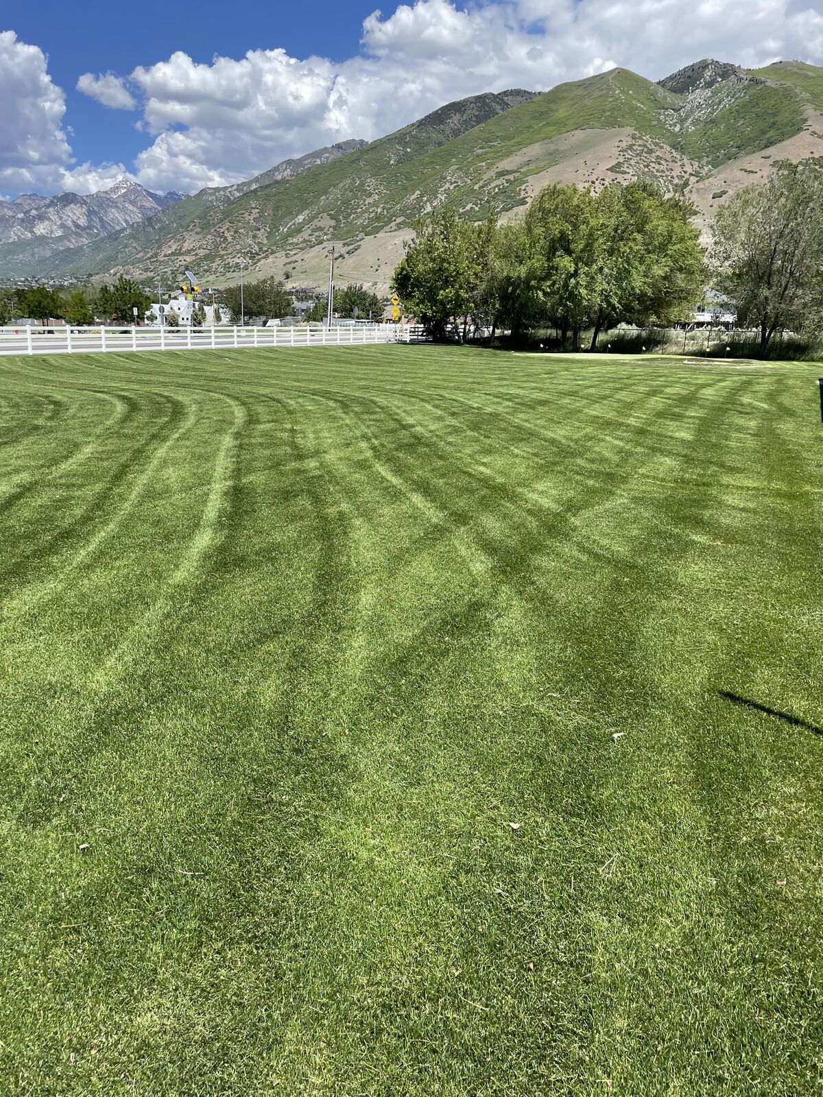 Grass Cutting | Professional Mowing | Lawn Maintenance | Property Maintenance | Seasonal Cleanups