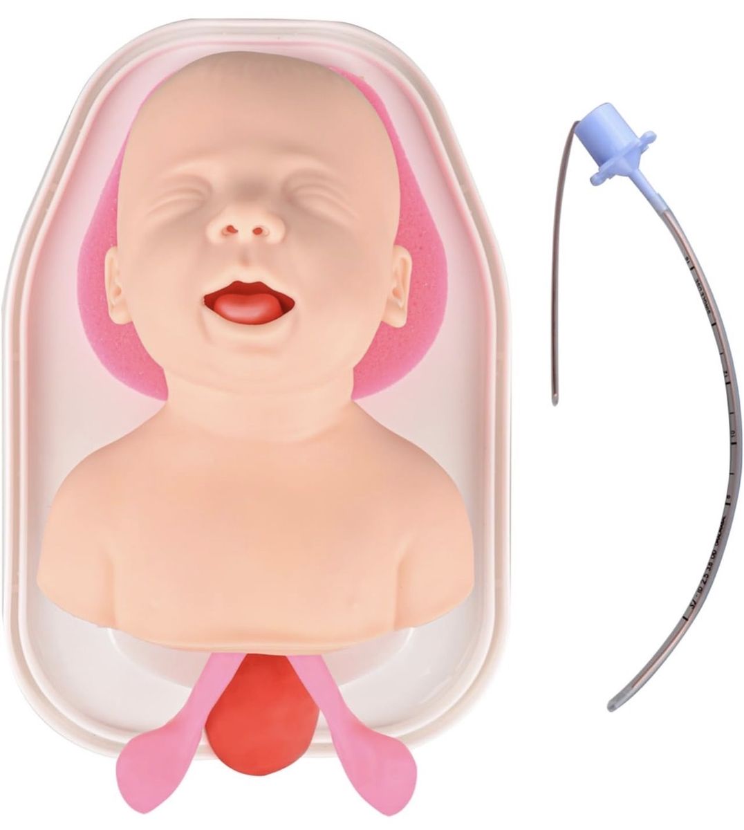 Neonatal Endotracheal/Gastric Tube Insertion Trainer
