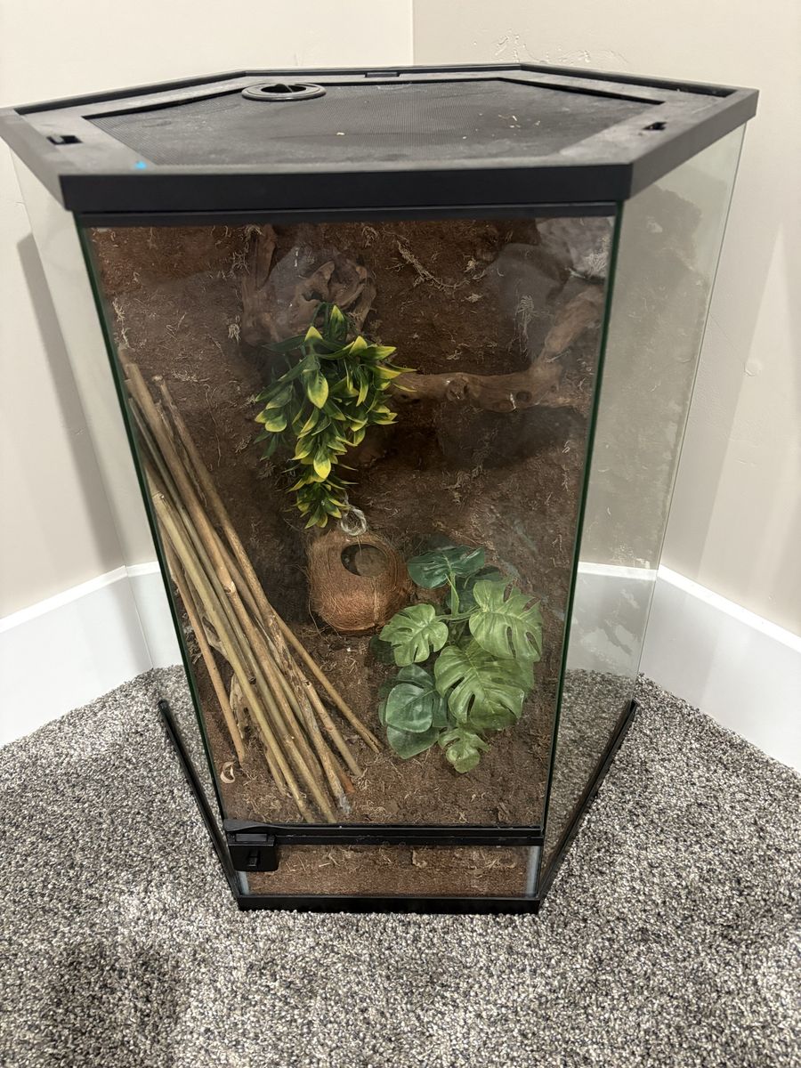 Hexagonal Aquarium Or Terrarium