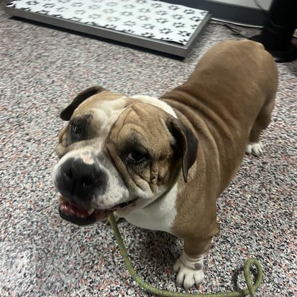 Hello my name is Hilda