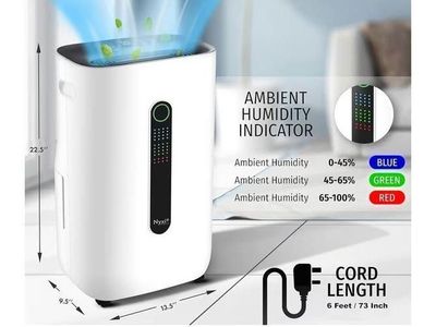 Powerful Compressor Dehumidifier