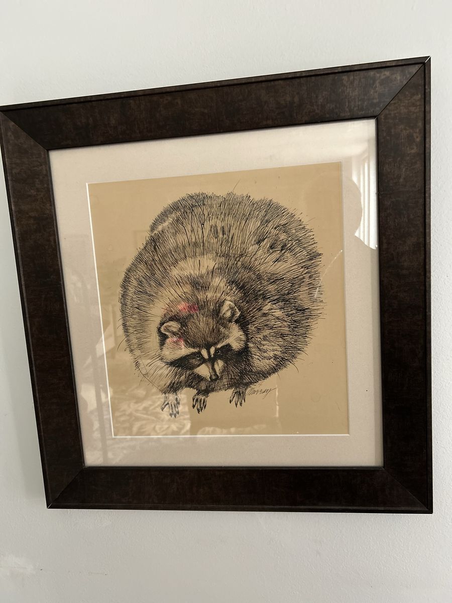 Raccoon Rascal