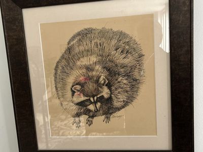 Raccoon Rascal