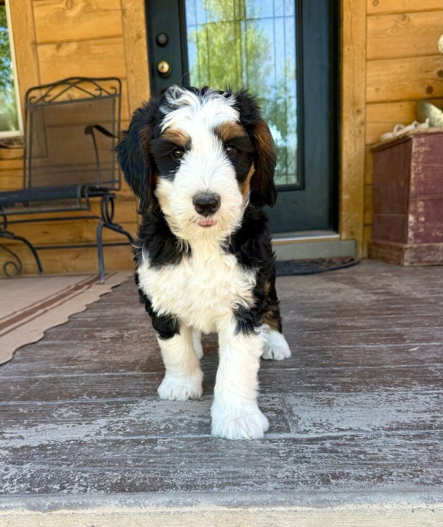 Main image 26