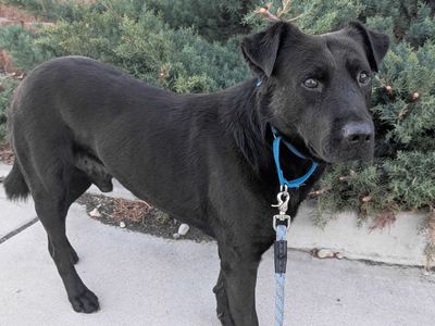 Hello my name is Chuck