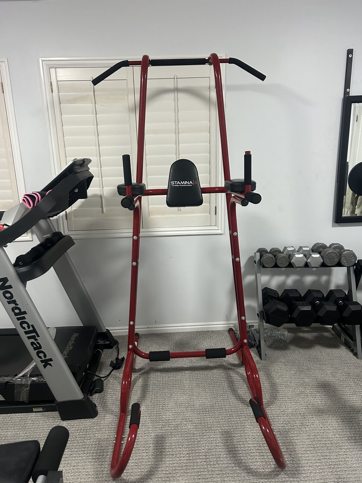 Stamina power tower dip/pull ip station