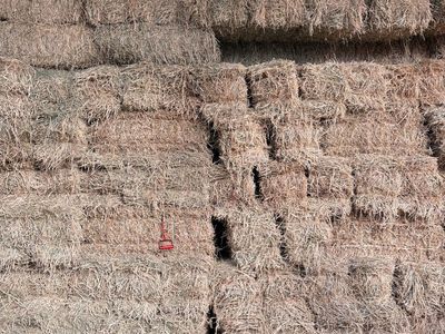 Small Alfalfa Hay Bales