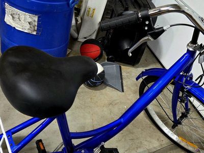 Big Kids Adult Grocery Getter Tricycle Exercise and Fun