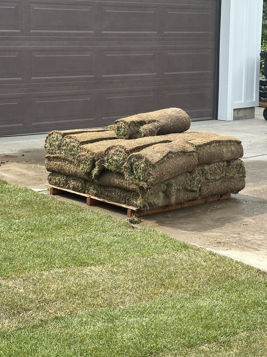 Sod - 300 square feet new grass rolls for instant lawn installation