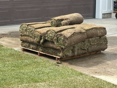 Sod - 300 square feet new grass rolls for instant lawn installation