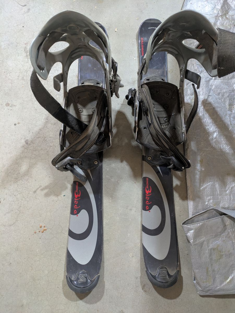 Solomon Snow Blade Trick Skis