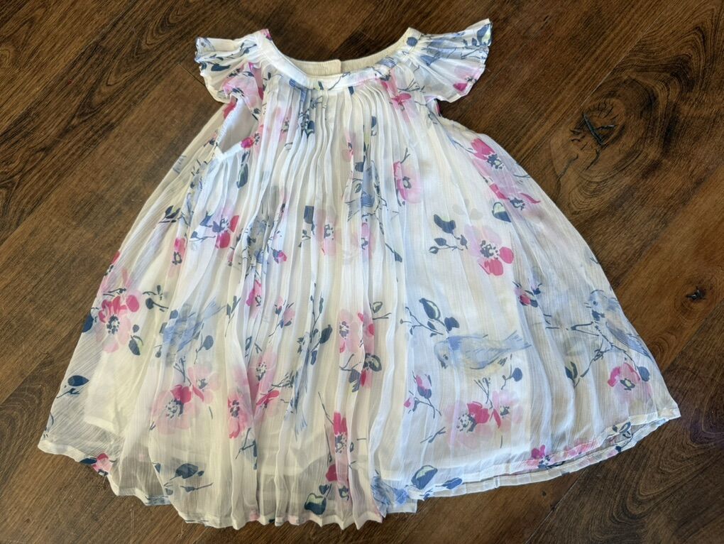 Baby Gap Floral Dress Girls Size 12-18 Month