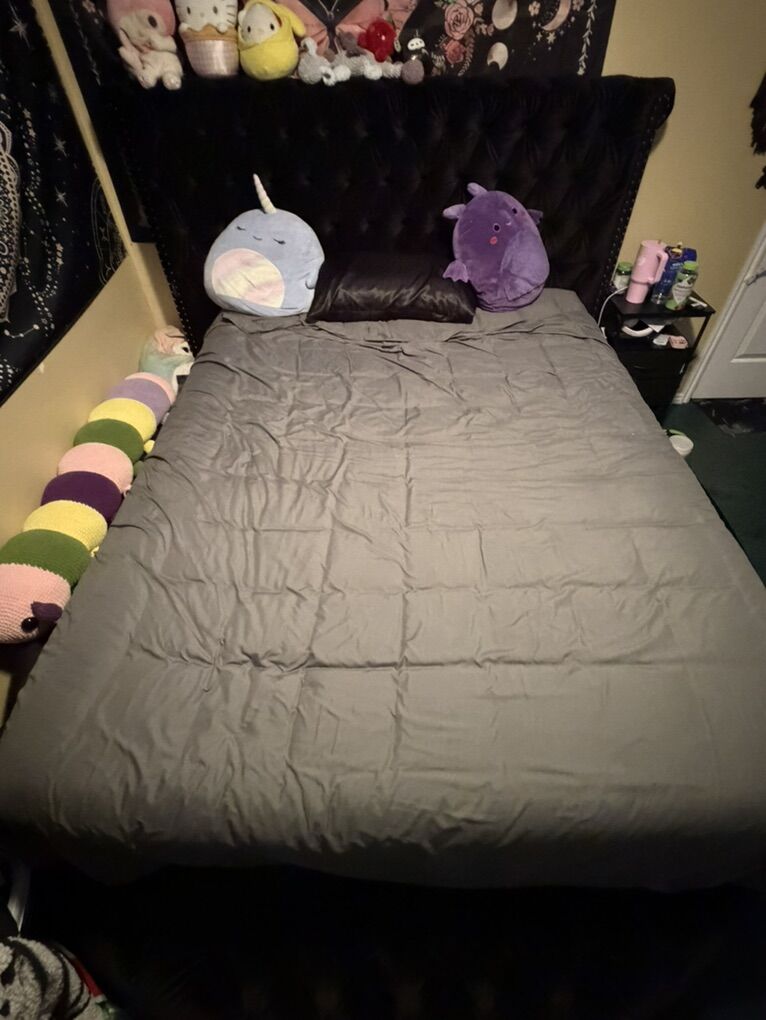 Queen size Bedframe With Storage