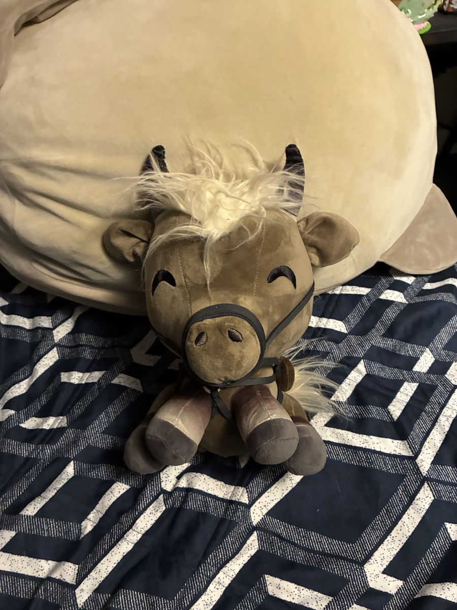 Torrent from Elden ring Youtooz plushy