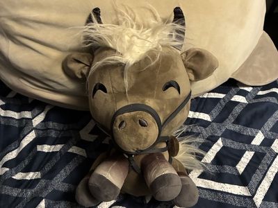 Torrent from Elden ring Youtooz plushy