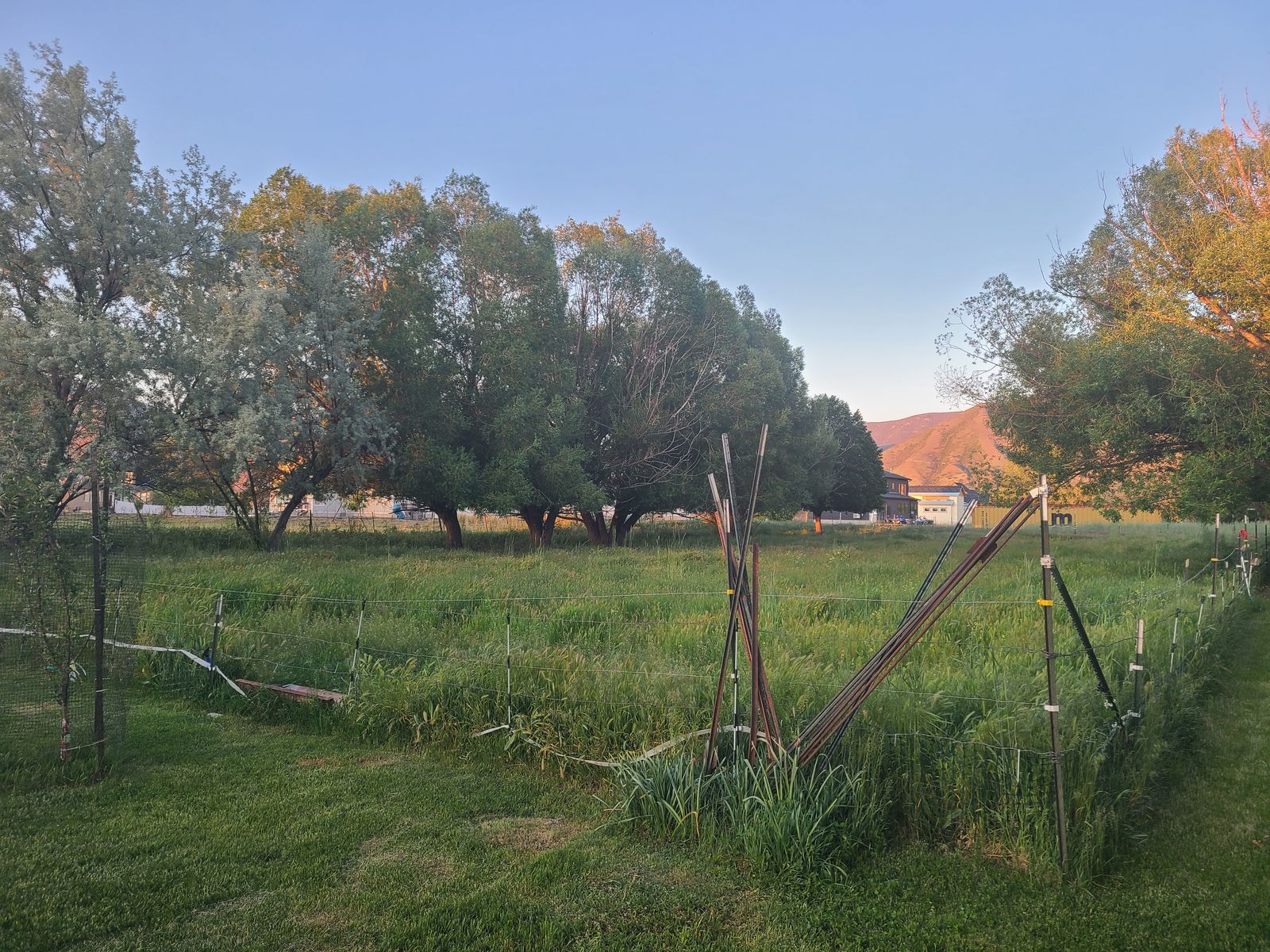 1/2 acre field for hire/rent