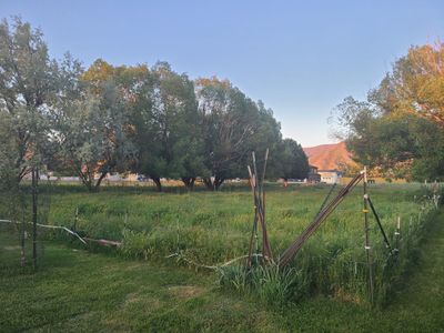 1/2 acre field for hire/rent