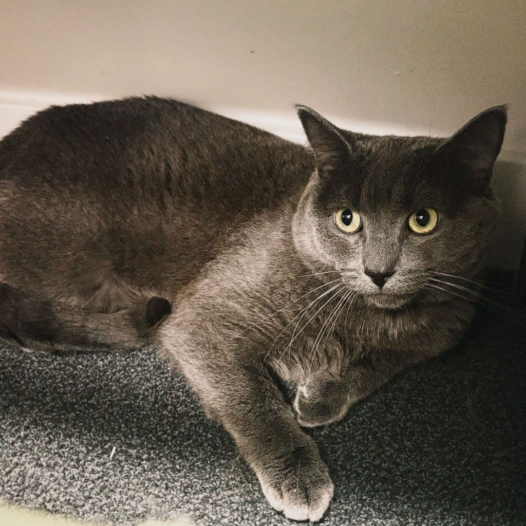 Hello my name is Sebastian