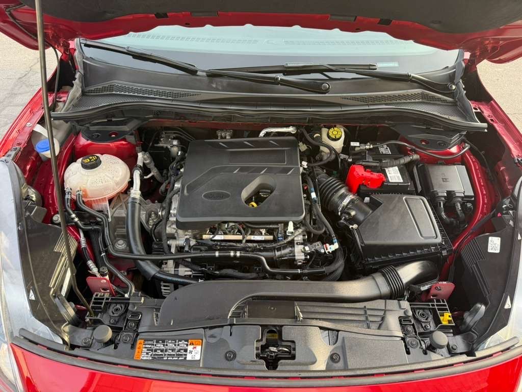 Main image 8