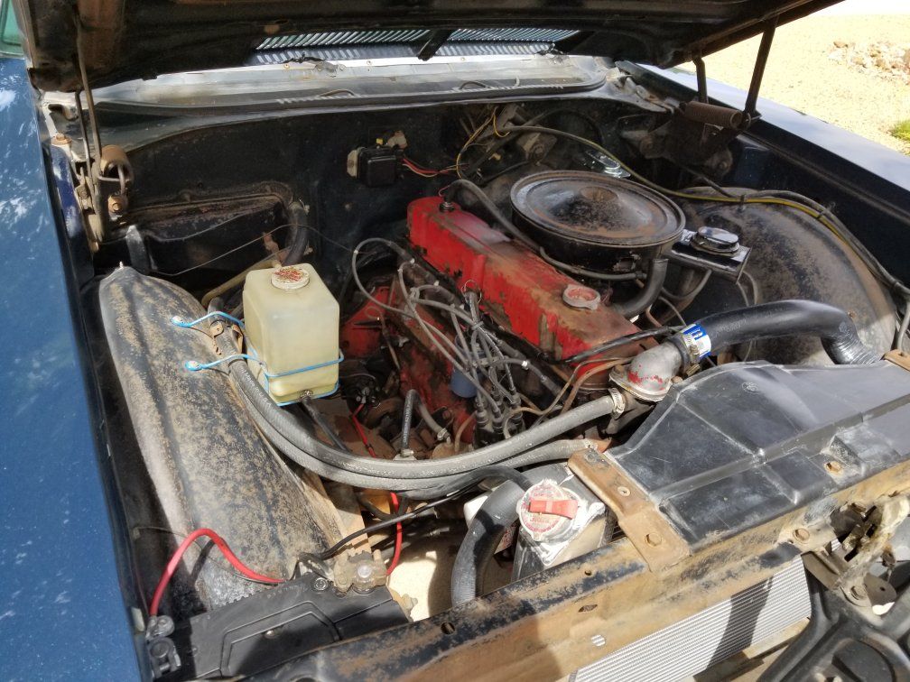 Main image 5