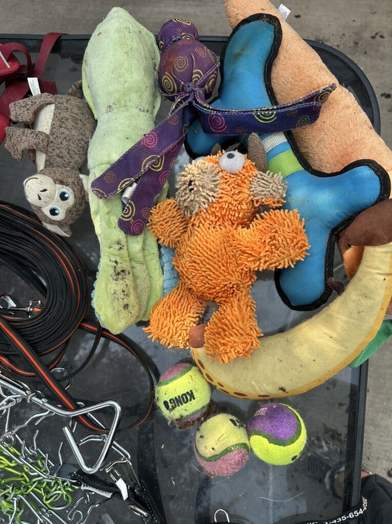 Selling Ruffwear & High Quality Dog Supplies