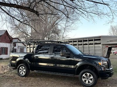 2009 FORD F150 FX4