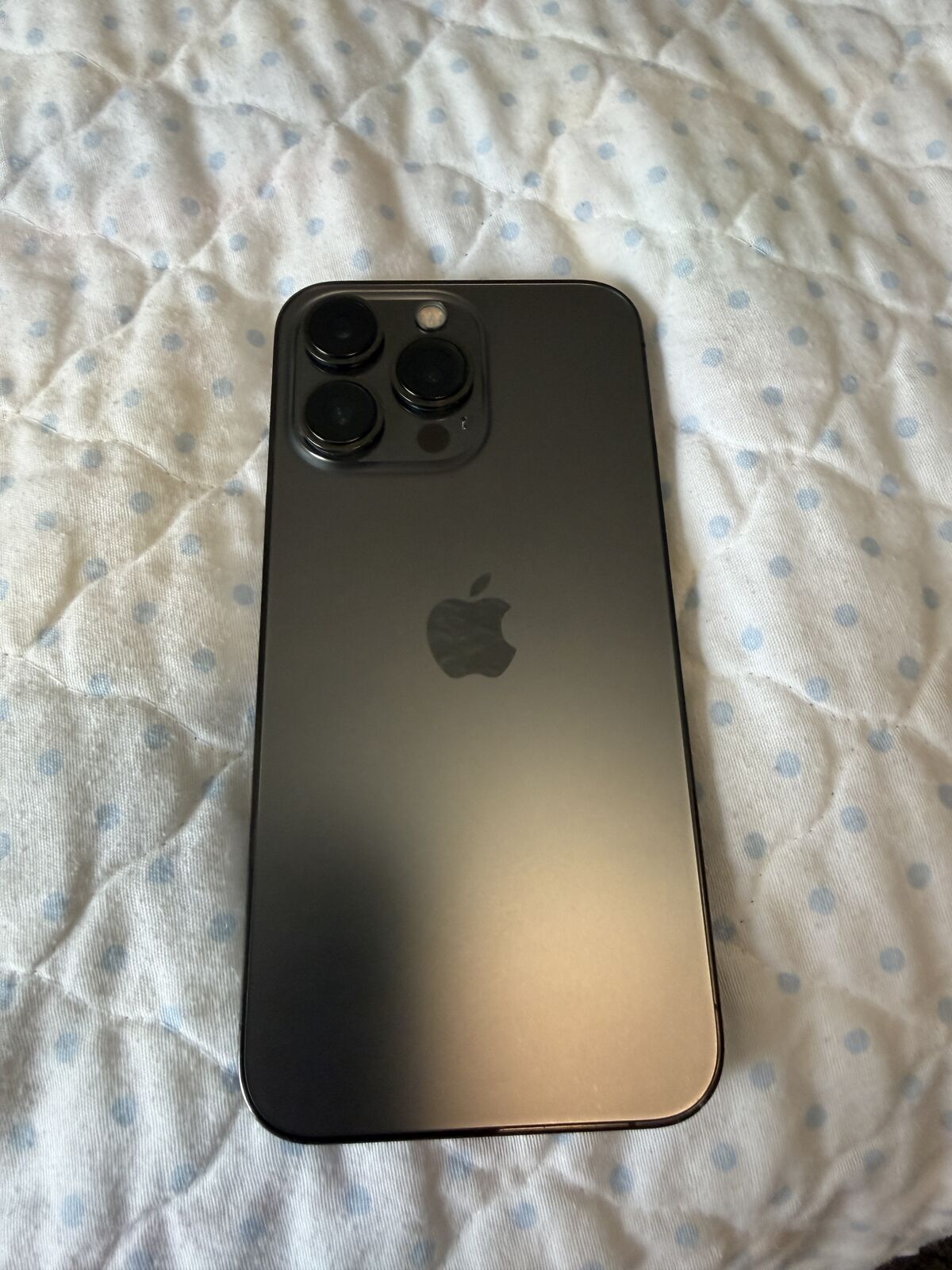 IPhone 13 Pro 256 MB