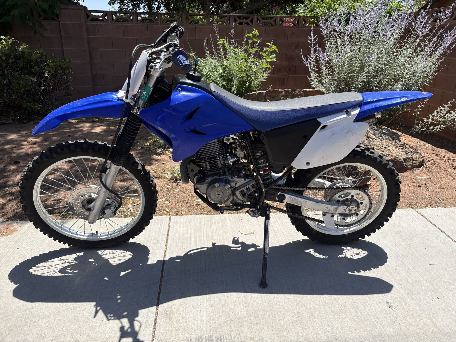 2017 Yamaha TTR 230