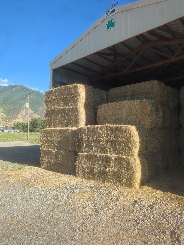 Feeder Hay 1st Crop