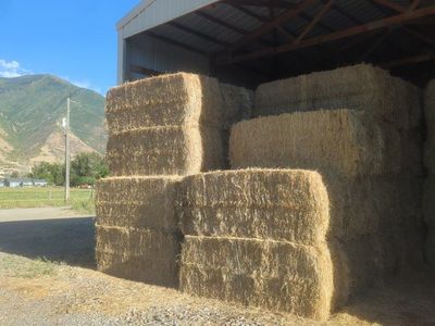 Feeder Hay 1st Crop