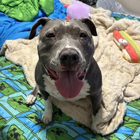 Main image 27