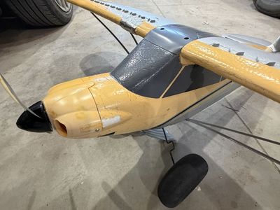 Carbon Cub With Flaps